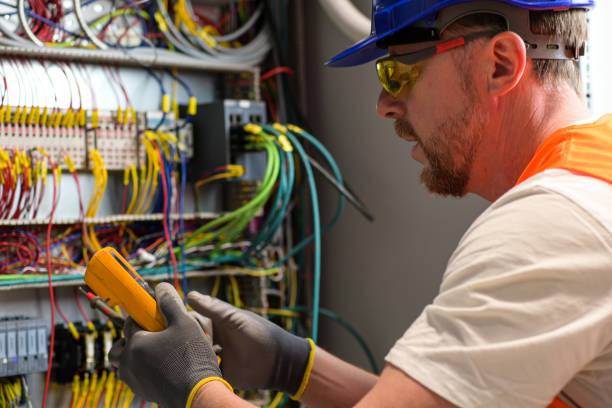 Best Electric Panel Repair  in Gladeview, FL